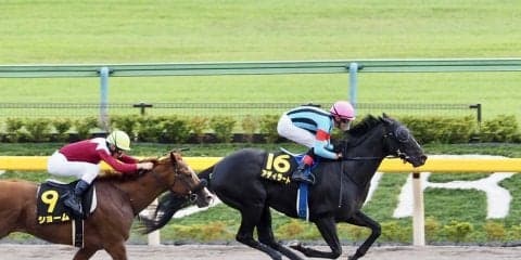 【グリーンチャンネルC】アディラートがダートで6勝目