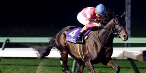 【盛岡・ダービーグランプリ】リンノレジェンドが快勝！