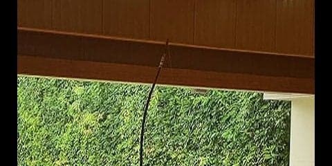 最終戦に敗戦　１部残留をかけた入替戦へ