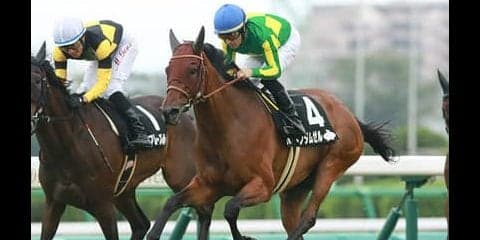 白熱の秋華賞。好相性の血を併せ持つ２頭が快走する！