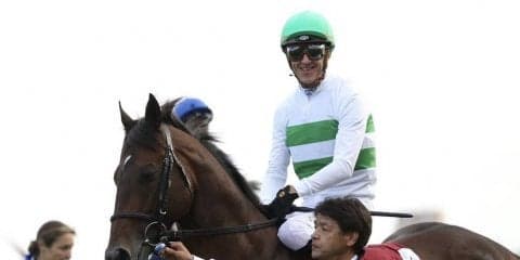2019凱旋門賞（G1）日本馬が帰国