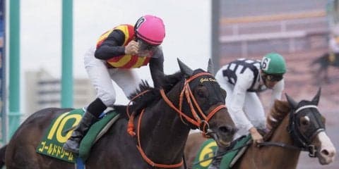 【南部杯】JRA出走予定馬