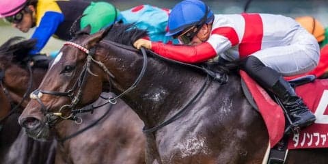 【秋華賞】出走馬の調教後の馬体重