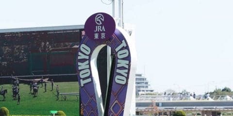 東京競馬10月12日、13日の開催中止について