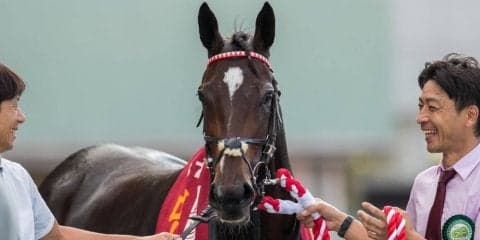 【秋華賞】枠順と見どころ ダノンファンタジーは1枠1番