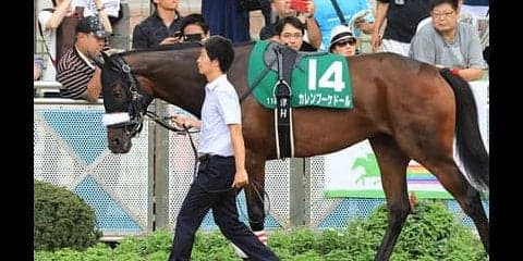 穴党記者が近年の秋華賞の傾向を分析。そこから導き出された穴馬４頭