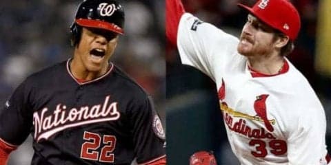 【MLB 優勝決定S】元Gマイコラスとソトの“地味すぎる”やり合いに米メディア注目　掴んだ部分は…