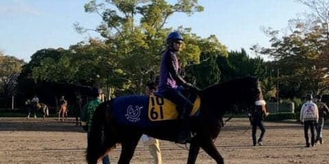 【府中牝馬S】ダノングレース 国枝師「重賞でもやれる」