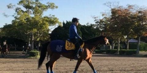 【府中牝馬S】フロンテアクイーン 国枝師「今年も同じくらい走ってくれれば…」