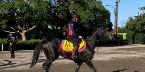 【府中牝馬S】プリモシーン 木村師「フットワークの質がいい」