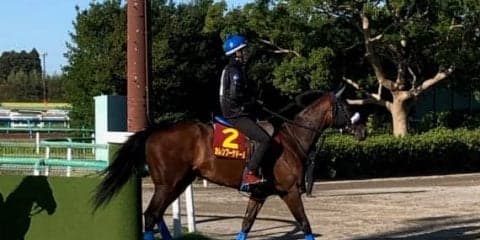 【秋華賞】カレンブーケドール 津村「いい感触でした」