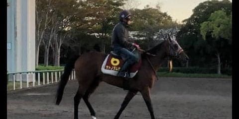 【秋華賞】サトノダムゼル まだ底を見えていない魅力