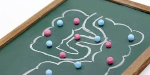 その不調、腸内環境が原因かも？