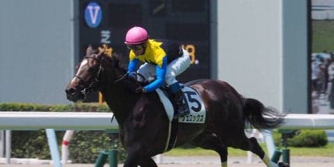 【菊花賞】登録馬と見どころ ヴェロックスなど