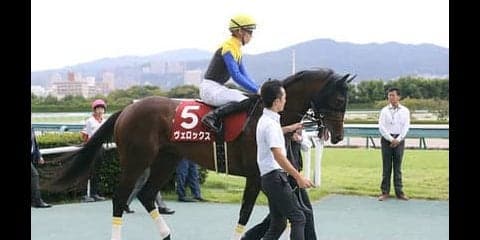 菊花賞１番人気に押し出されたヴェロックス。不安は距離よりむしろ…