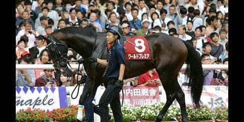 菊花賞に強いディープインパクト産駒。人気薄でも好走に期待大！