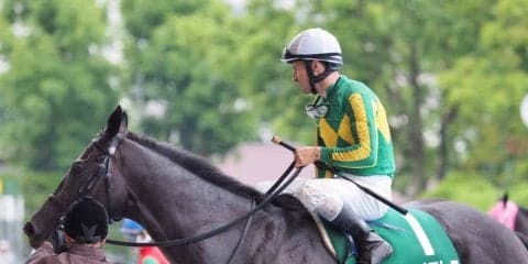 サトノアレス号が競走馬登録抹消