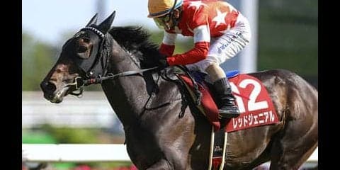 秋華賞に続いて菊花賞も荒れる。穴党記者が白羽の矢を立てた穴馬２頭