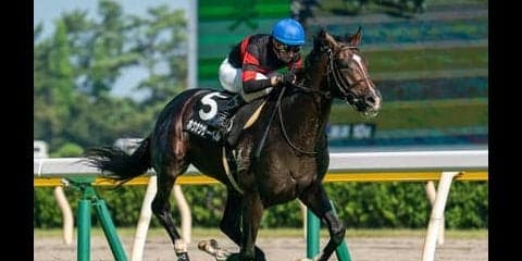 菊花賞は春の実績馬が手薄。夏の上がり馬２頭に一発チャンスが膨らむ