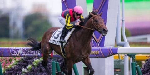 【新馬/東京5R】良血フィリオアレグロがデビューV！ 半兄にサトノクラウン