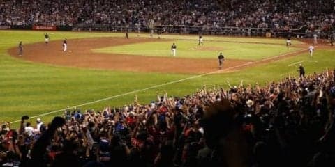 ダイヤモンドバックス谷澤トレーナーが伝えたい「チームビルディング哲学」とは