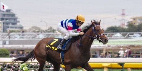 【アイビーS】圧倒的人気 ワーケアがデビュー2連勝！