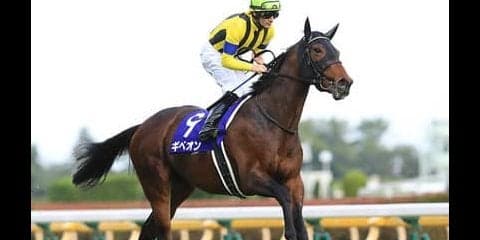 ２億円の高額馬サトノフウジンは「兄と違いスピードの絶対値が高い」