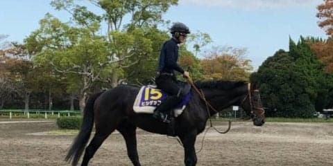 【菊花賞】ヒシゲッコウ 欧州を代表する名手がスミヨン騎乗