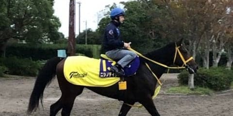 【菊花賞】ニシノデイジー ルメールの手綱で復活なるか