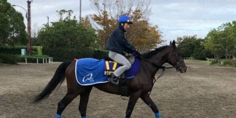【菊花賞】ホウオウサーベル ベテラン蛯名とのコンビで一発を狙う！