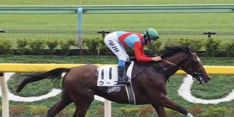 土曜東京4R新馬はゴールドアリュール産駒のウーゴが快勝