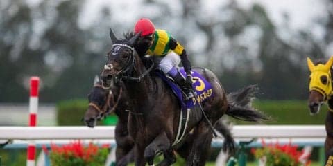 【菊花賞】 武豊 ワールドプレミアが最後の1冠を制する！