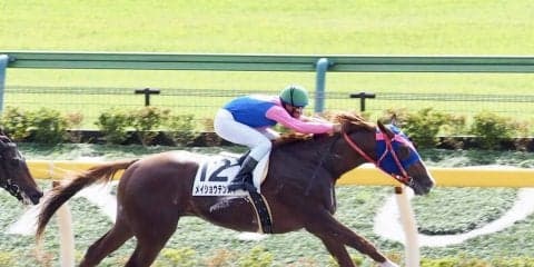 【新馬/東京3R】メイショウテンスイが人気に応えてデビューV！