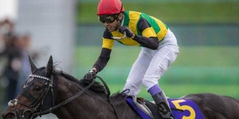 【菊花賞】武豊「久しぶりのG1」ワールドプレミアがV！武豊は3元号G1制覇