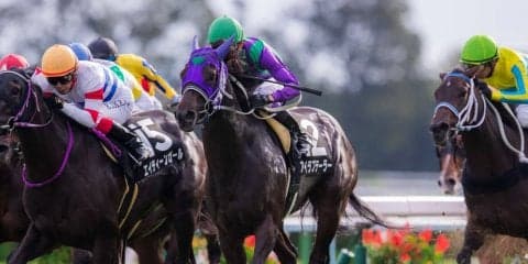 【桂川S】武豊 アイラブテーラーが人気に応えて差し切り！