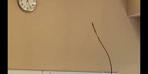 １中差の駆け引き　慶大に敗れ２部降格が決定