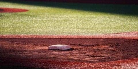 ヤクルトが屋宜照悟に戦力外通告　17年に杉浦とトレードで日ハムから移籍