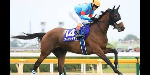 天皇賞・秋はアーモンドアイが盤石。サートゥルナーリアには不安材料