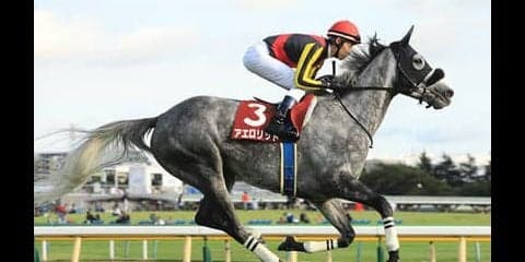 ＧＩ馬からでも高配当が狙える天皇賞・秋。穴党記者の狙いはこの４頭