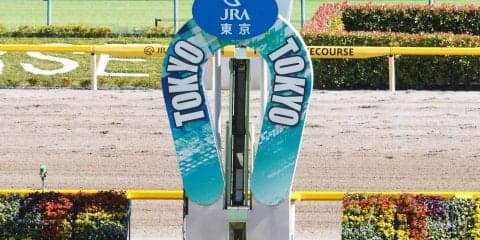 東京競馬場の馬場情報