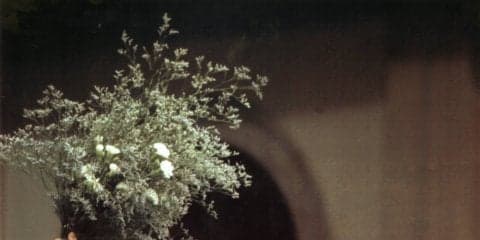 いまだ卓球ファンを魅了し続けるファンタジスタ、ワルドナー