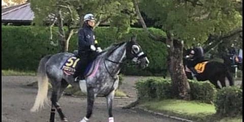 【天皇賞・秋】アエロリット 牡馬一線級に交じってもヒケを取らず