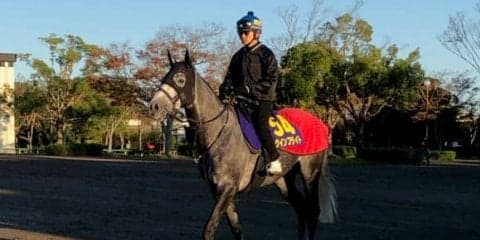 【天皇賞・秋】ウインブライト 前走大敗も復活なるか