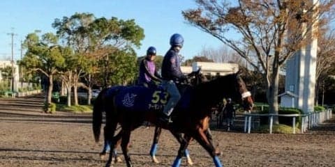 【天皇賞・秋】アーモンドアイ ルメール「アーモンドアイが1番強い」