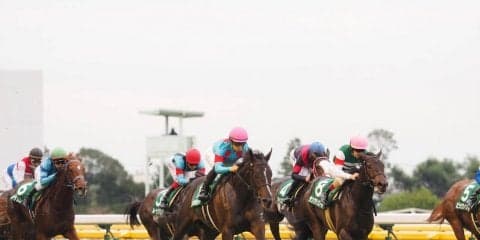 【アルテミスS】圧倒的人気リアアメリアがV！売り上げ前年比減