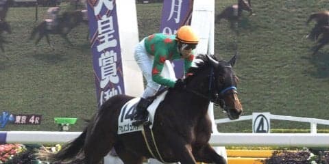 【新馬/東京4R】上がり32.9！アカノニジュウイチが完勝