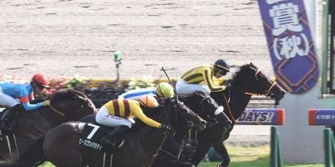 【東京8R】天皇賞と同距離はアトミックフォースが勝利