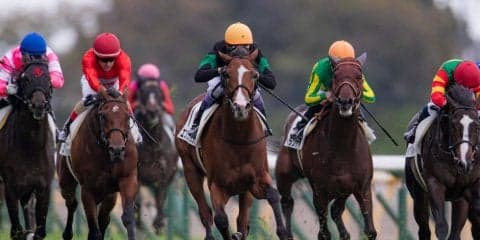 【新馬/東京5R】武豊「スタートが全然出なかった」キタサンブラック全弟は3着