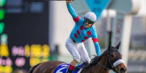 【天皇賞・秋】G1馬10頭の競演！アーモンドアイ勝利で前年比大幅アップ