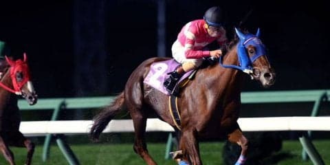 【盛岡・知床賞】アクアリーブルが勝利！